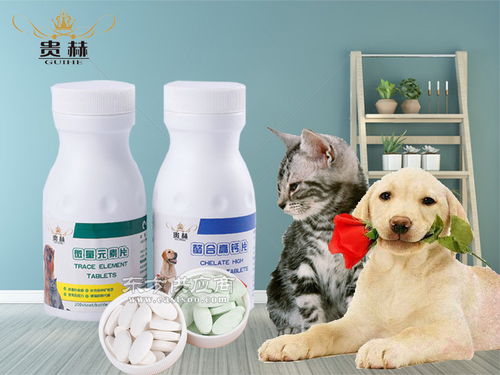泰州宠物保健品 贵赫宠物供应销量好的宠物保健品图片